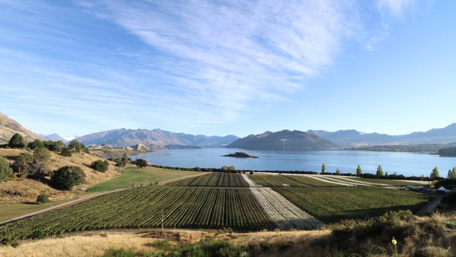 Continent Winner - The Best Vineyard in Australasia 2023